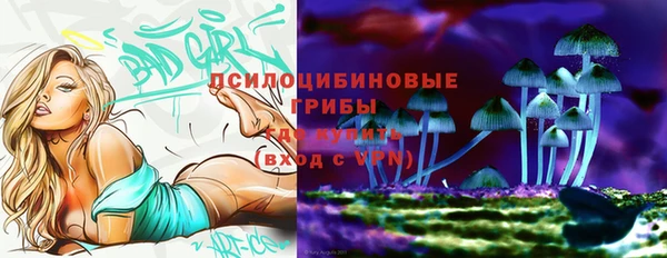 стафф Беломорск