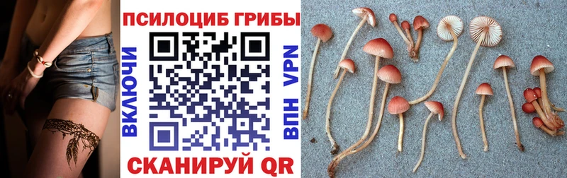 omg ссылки  Салаир  Галлюциногенные грибы GOLDEN TEACHER 