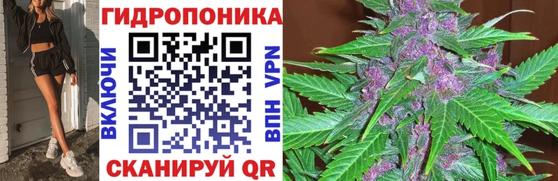 Каннабис планчик  цены   Салаир 